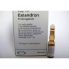 estandron-500x500.jpg